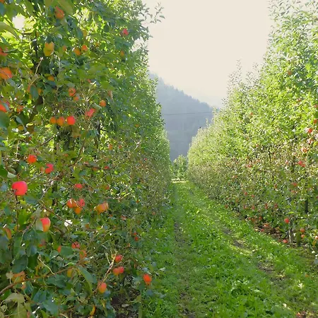 Exclusive Maso Molini *