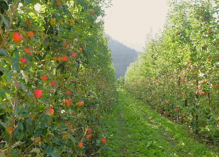 Exclusive Maso Molini *